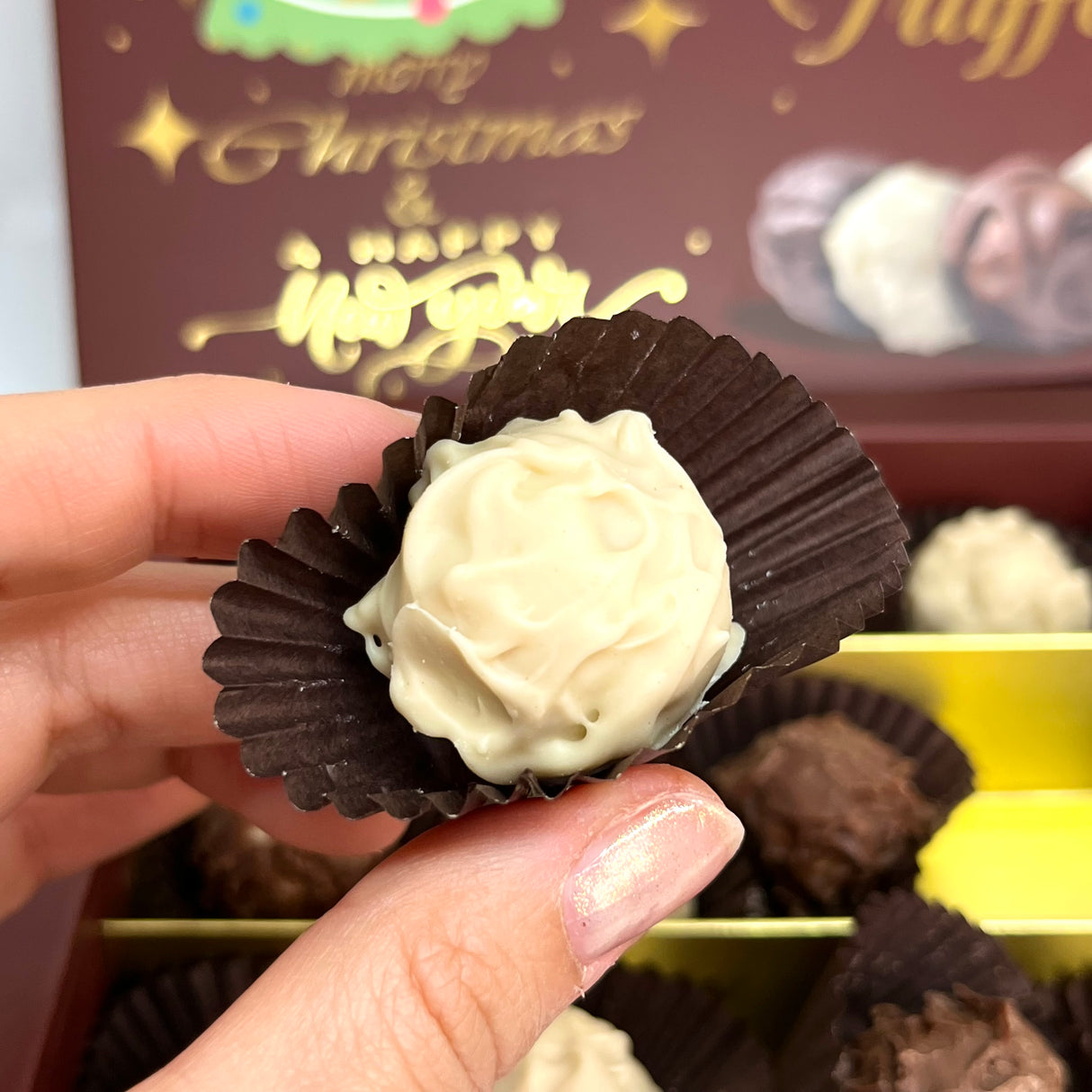 Ema Chocolate Milk and White Chocolate Truffles with Hazelnut Cream Filled- Merry Christmas Box - 250g